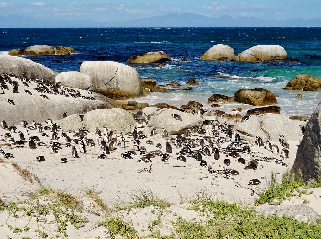 Seaforth Beach