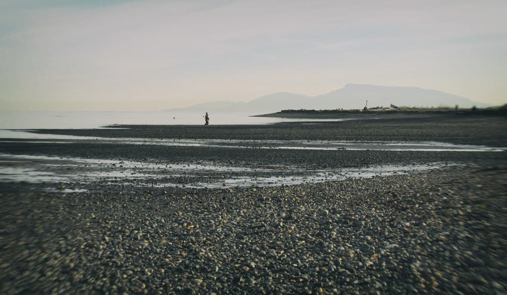 Tsawwassen Beach