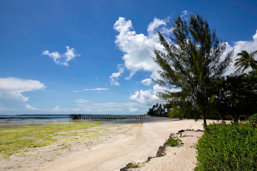Kizimkazi Reef Flats