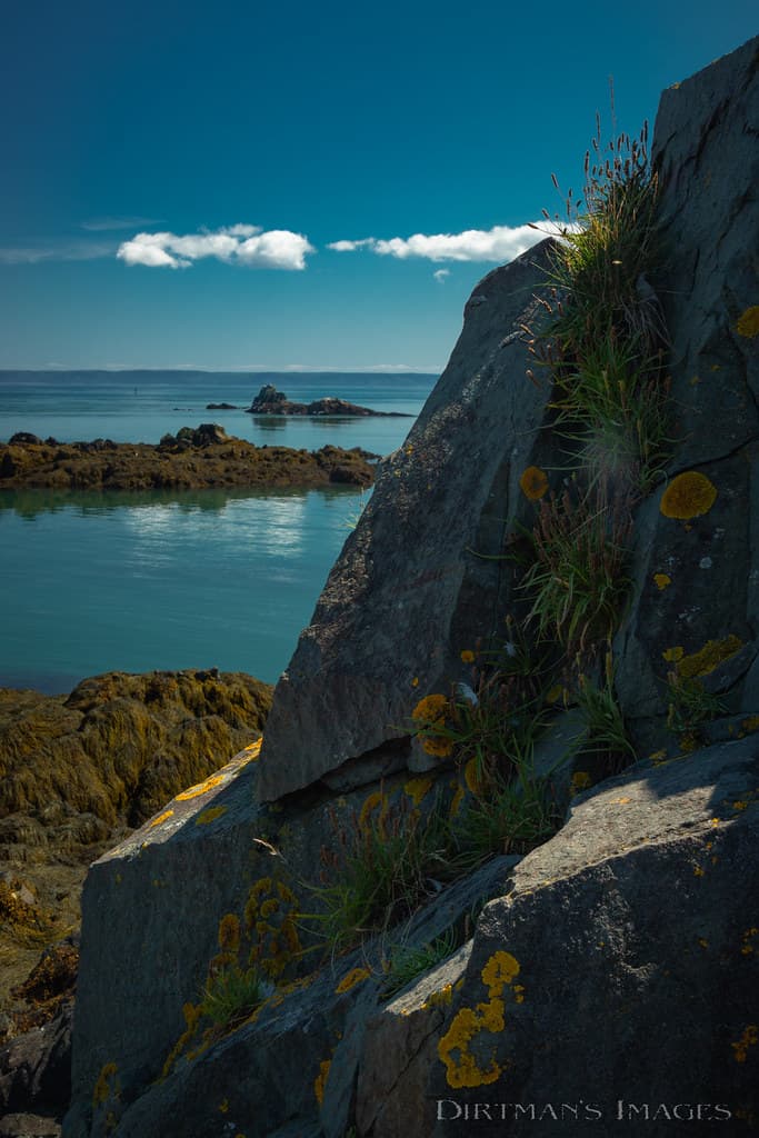 South Lubec Beach