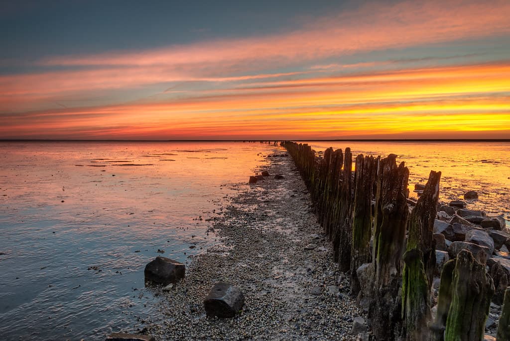 Ternaard Quiet Shore