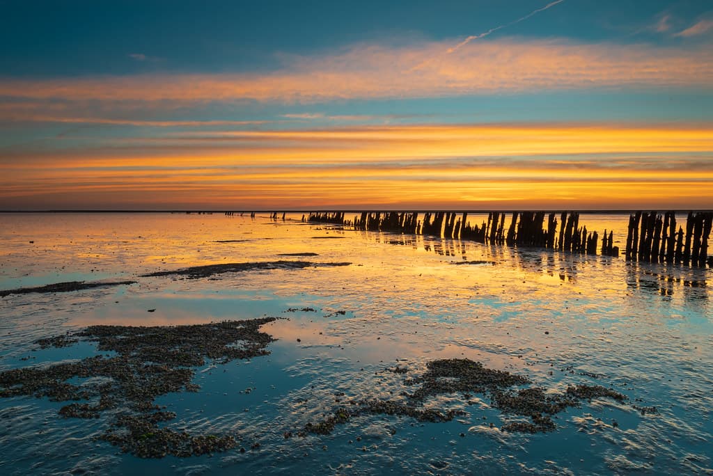 Ternaard Quiet Shore view 2