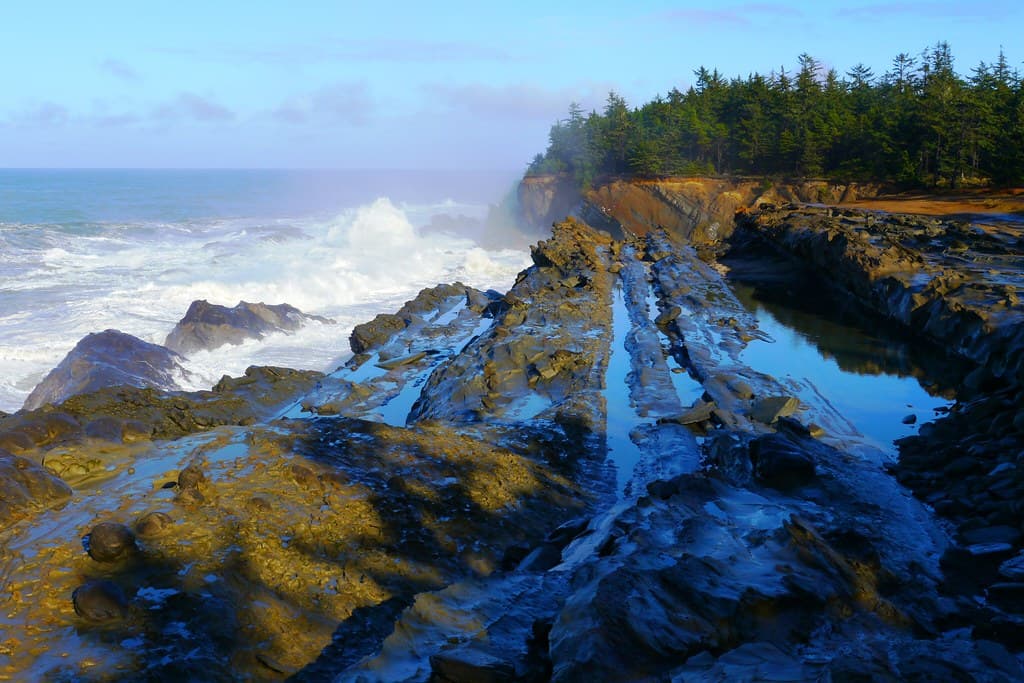 Shore Acres State Park in Coos County, Oregon