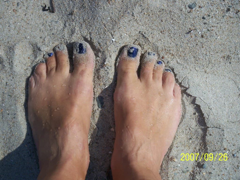 Horseneck Beach view 2