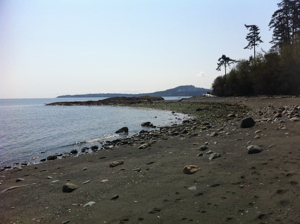 Island View Beach view 3