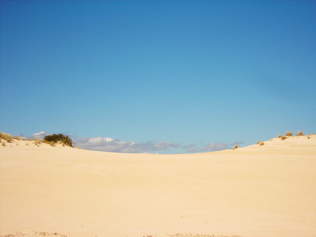 Henty Dunes Beach