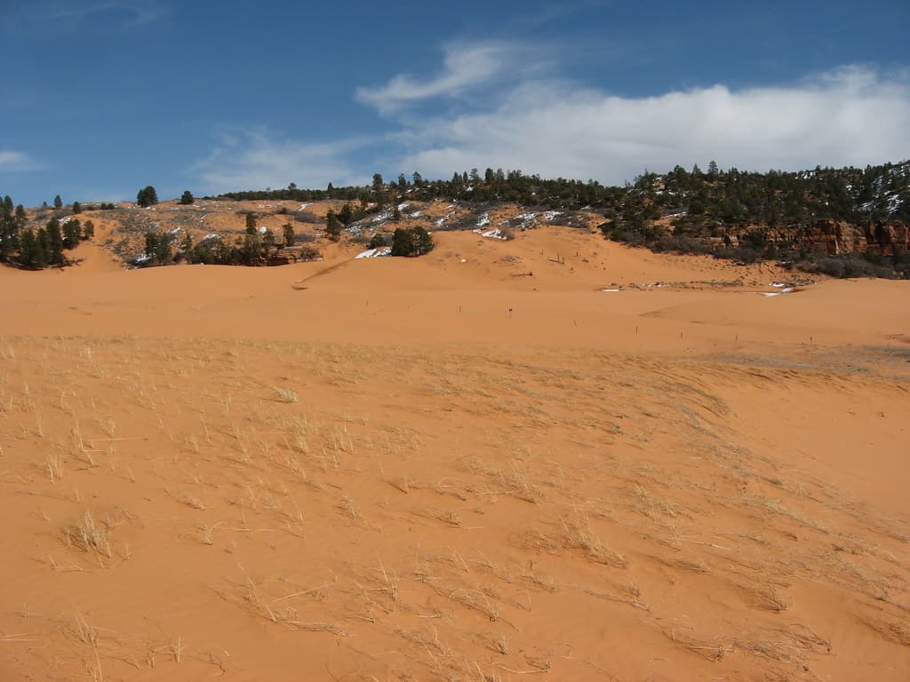 Dune Beach South view 2