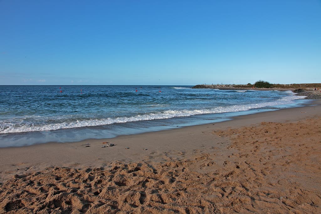 Playa Naiguatá