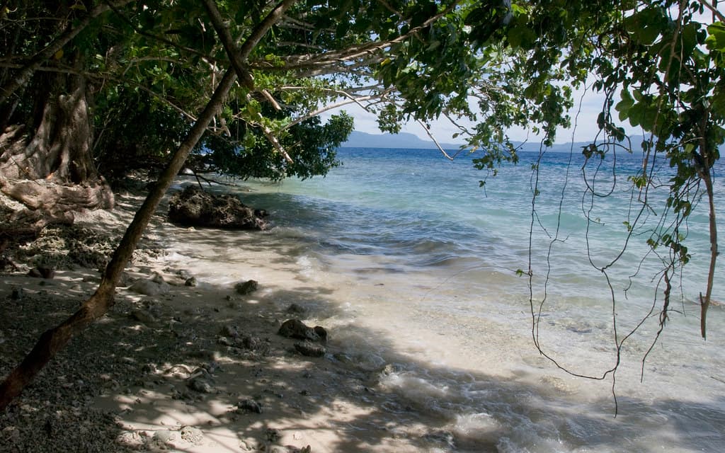 A Tetepare Beach