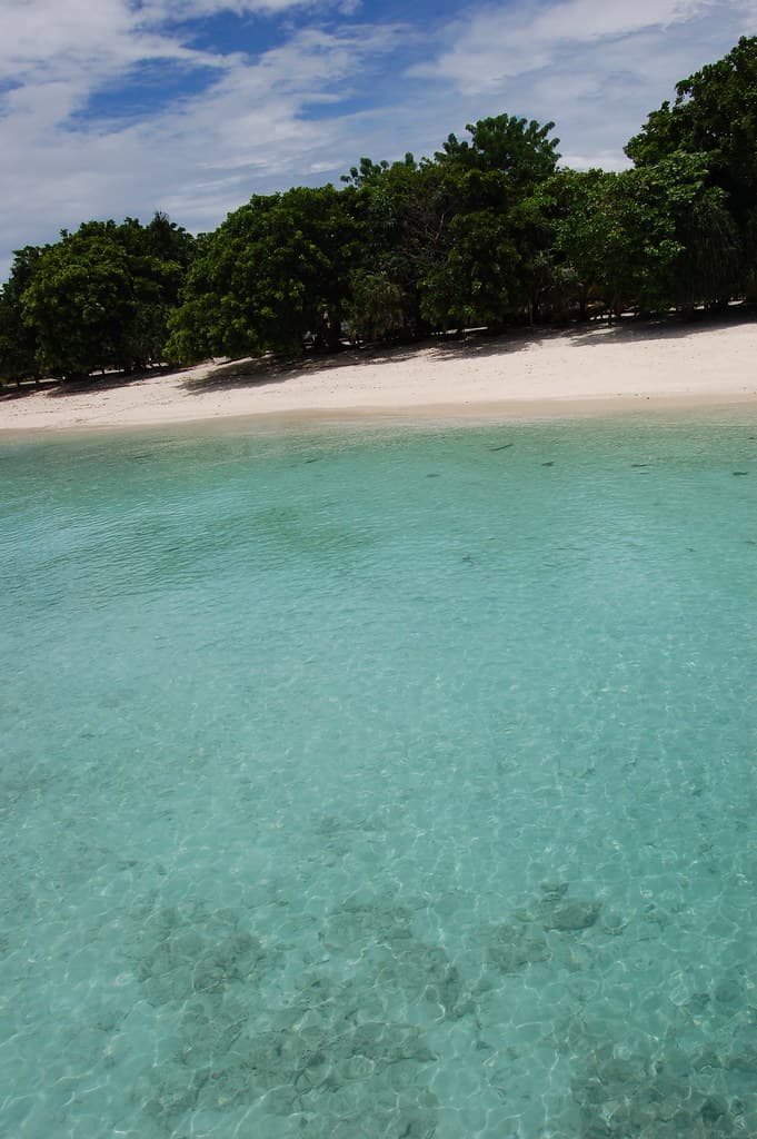 Pom Pom Island