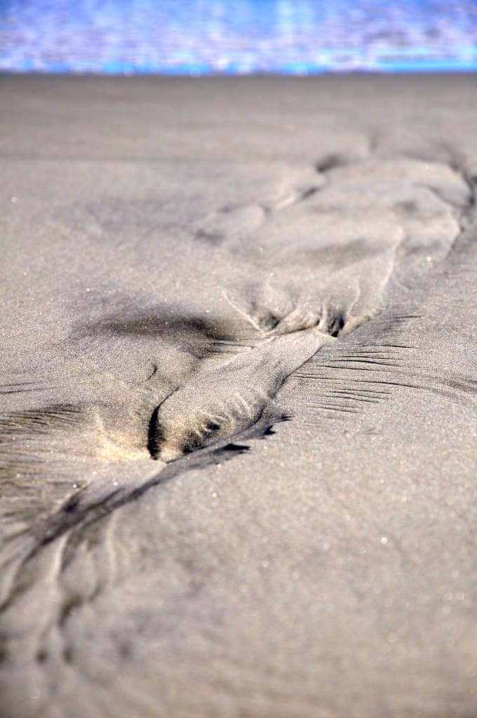 Fripp Island Beach