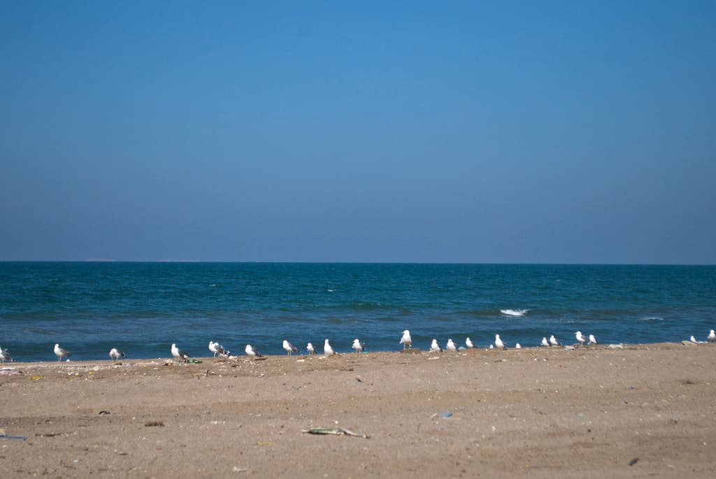 Al Haram Beach Barka