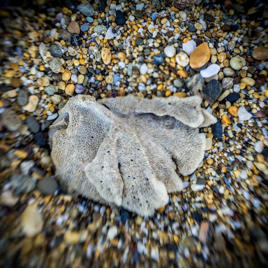 Charlesworth Bay Beach