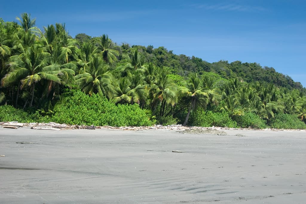 Playa Panica
