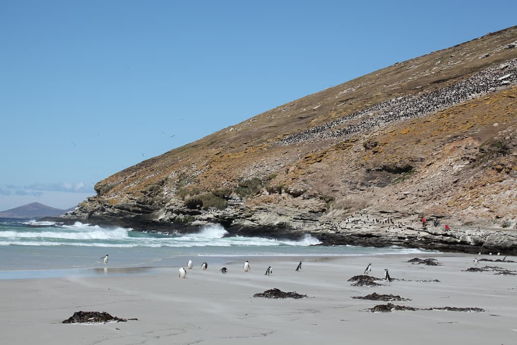 Saunders Island Beach