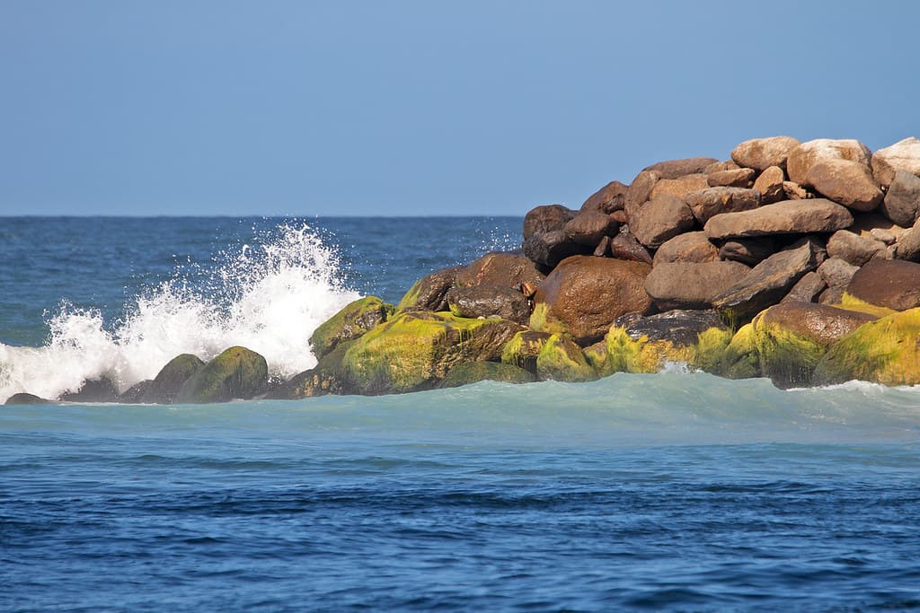 Playa Naiguatá view 2