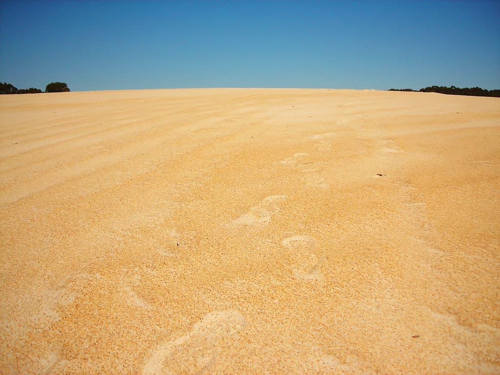 Henty Dunes Beach view 3