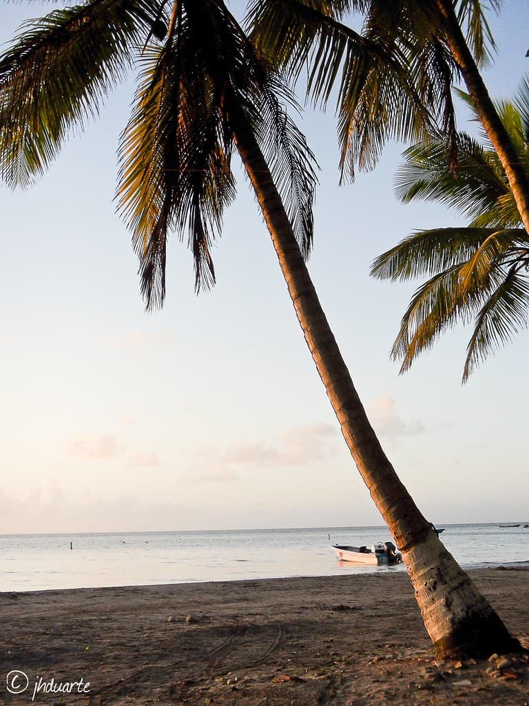 McBean Lagoon Beach view 2