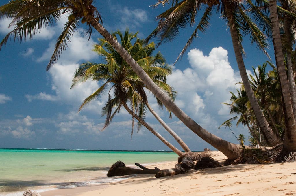 Woula Point Beach