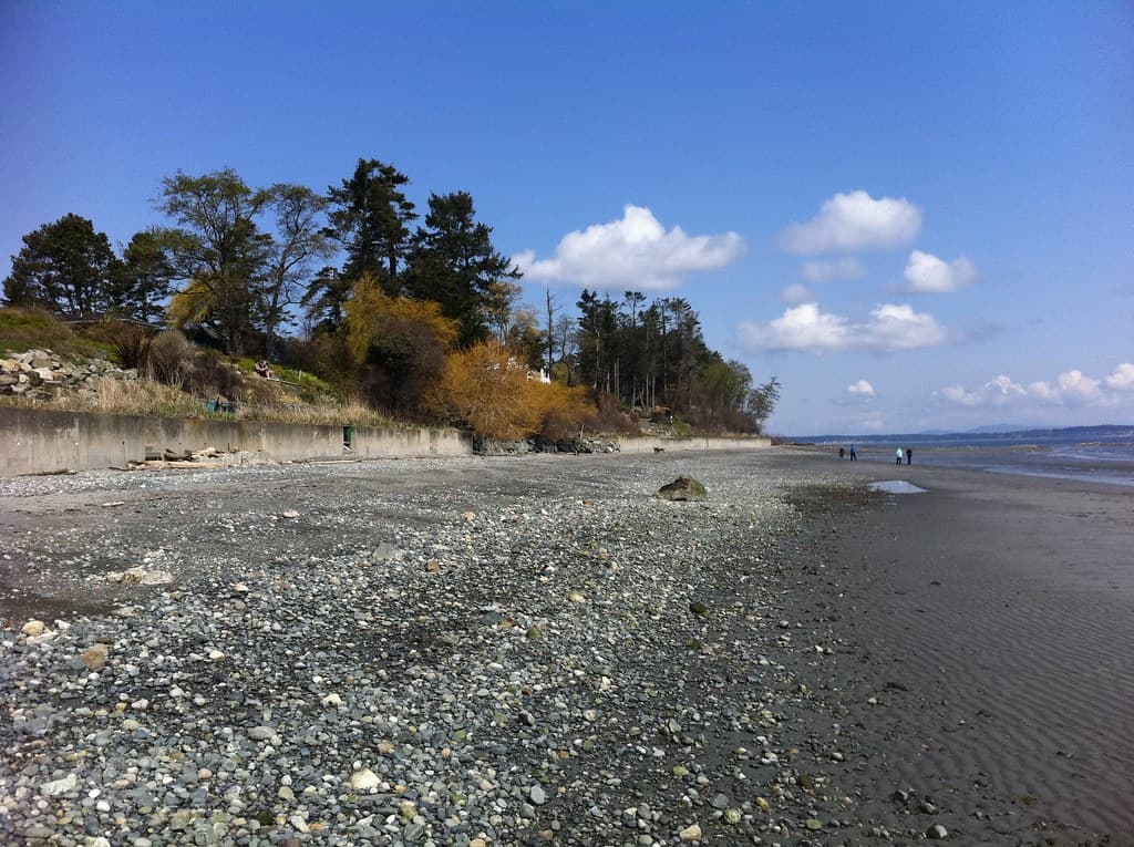 Island View Beach view 2