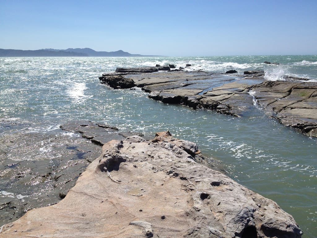 Te Araroa Beach