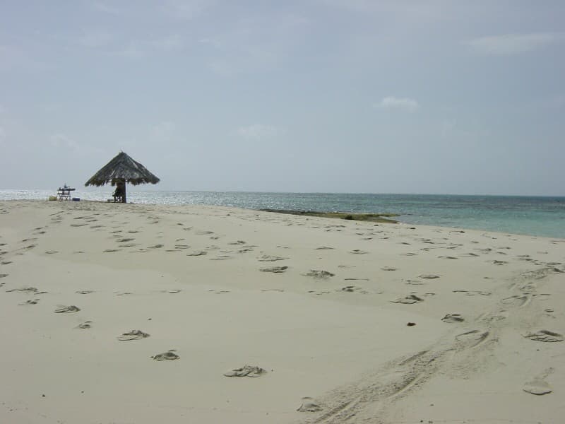 Palm Island Beach view 3