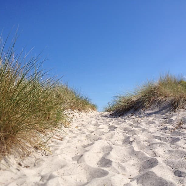 Vallensbæk Strand view 2
