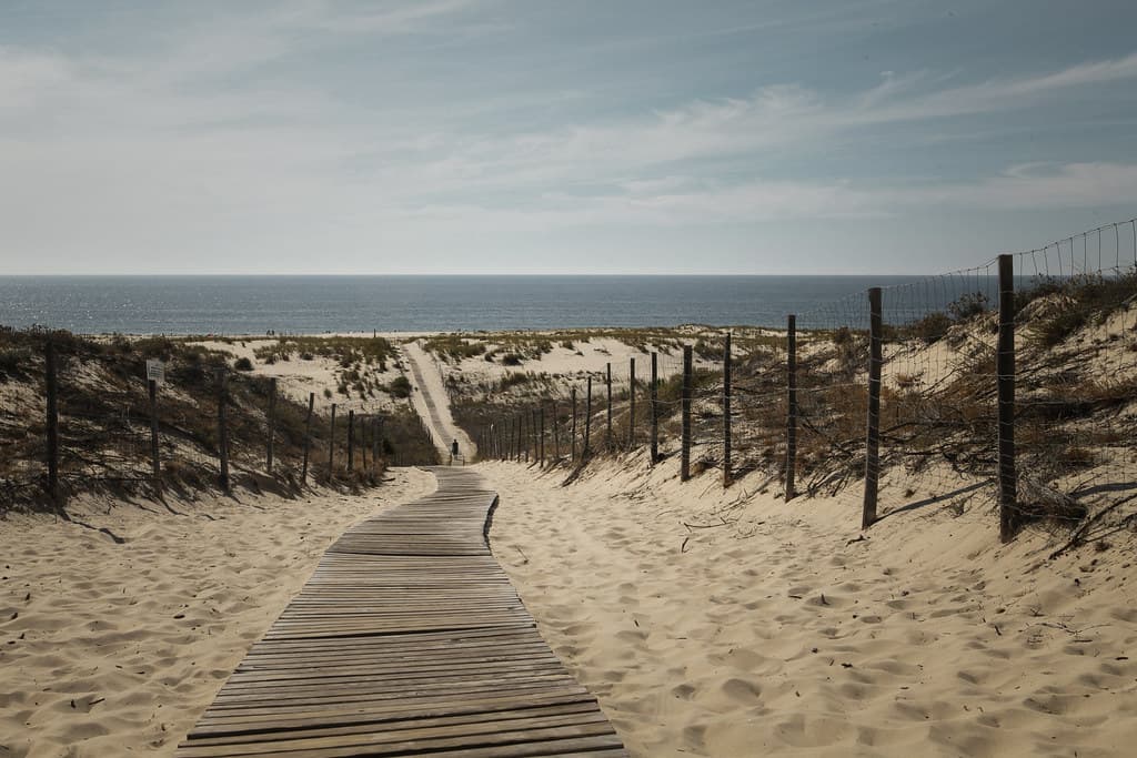 Plage Centrale de Biscarrosse view 3