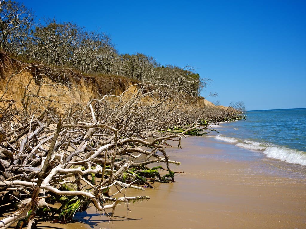 Wasque Beach