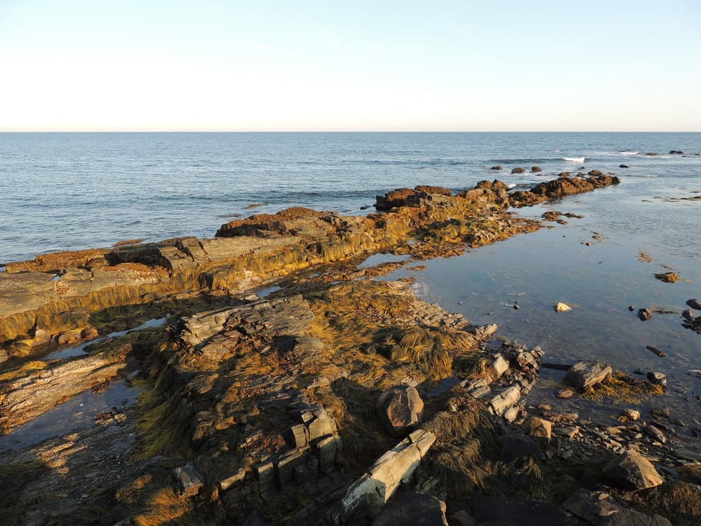 Surfers End Beach — photo by Anita363