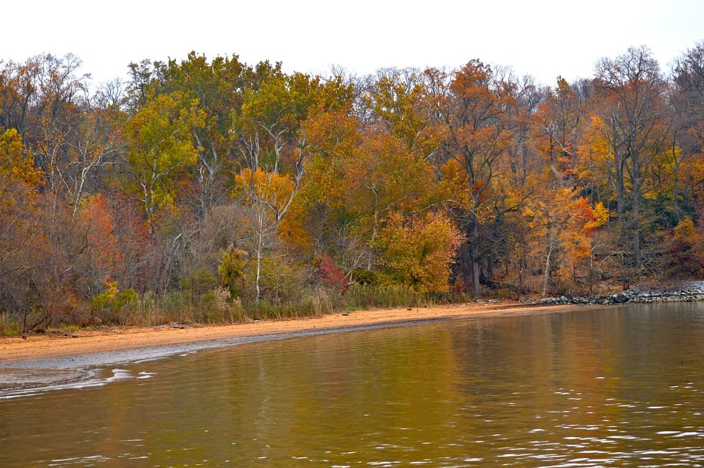 Elk Neck State Park Beach