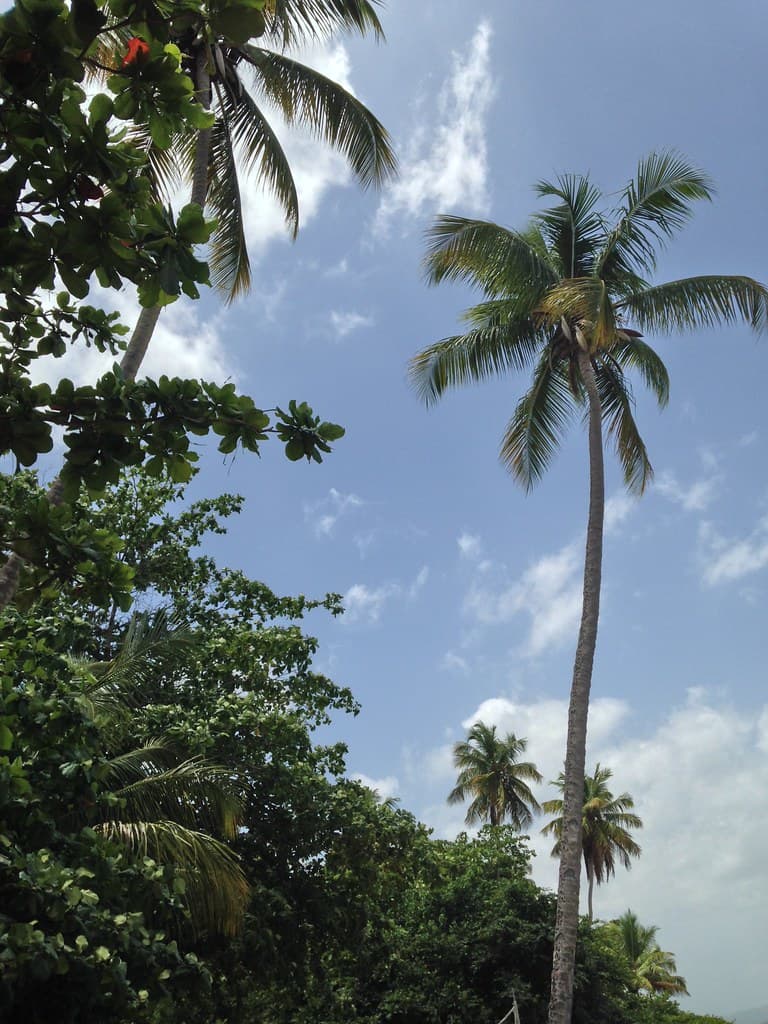 Playa Sabanetas
