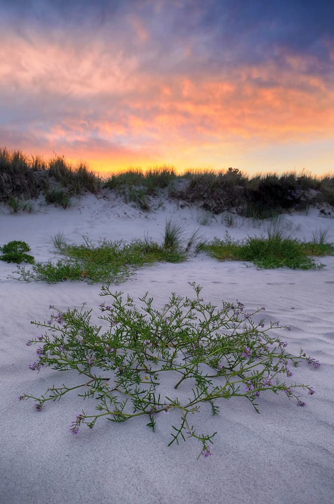 Sandhammaren Beach view 2