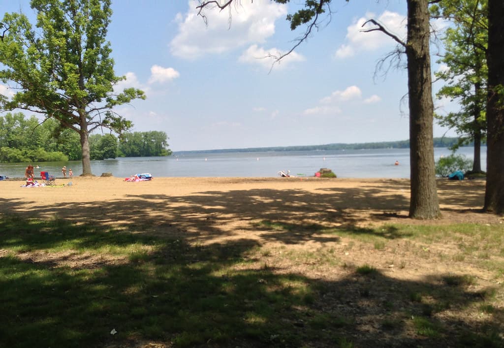 Mosquito Creek Beach view 3