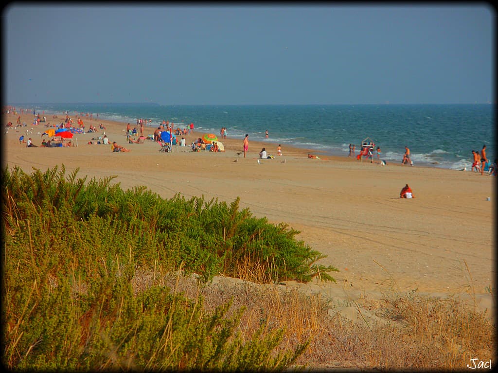 Playa El Cruce view 2