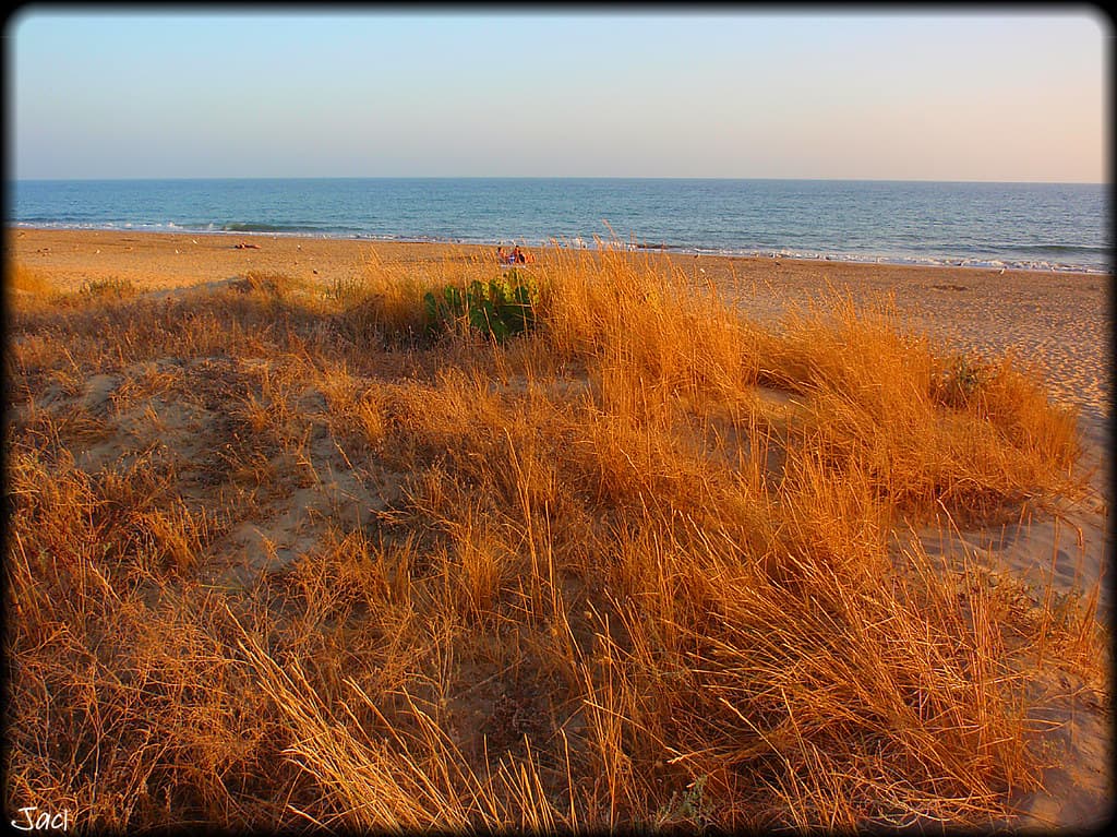 Playa El Cruce