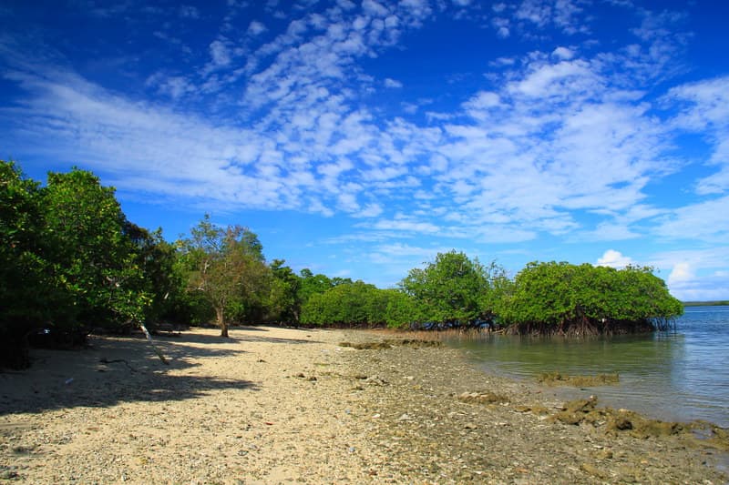 Kakara Island Beach