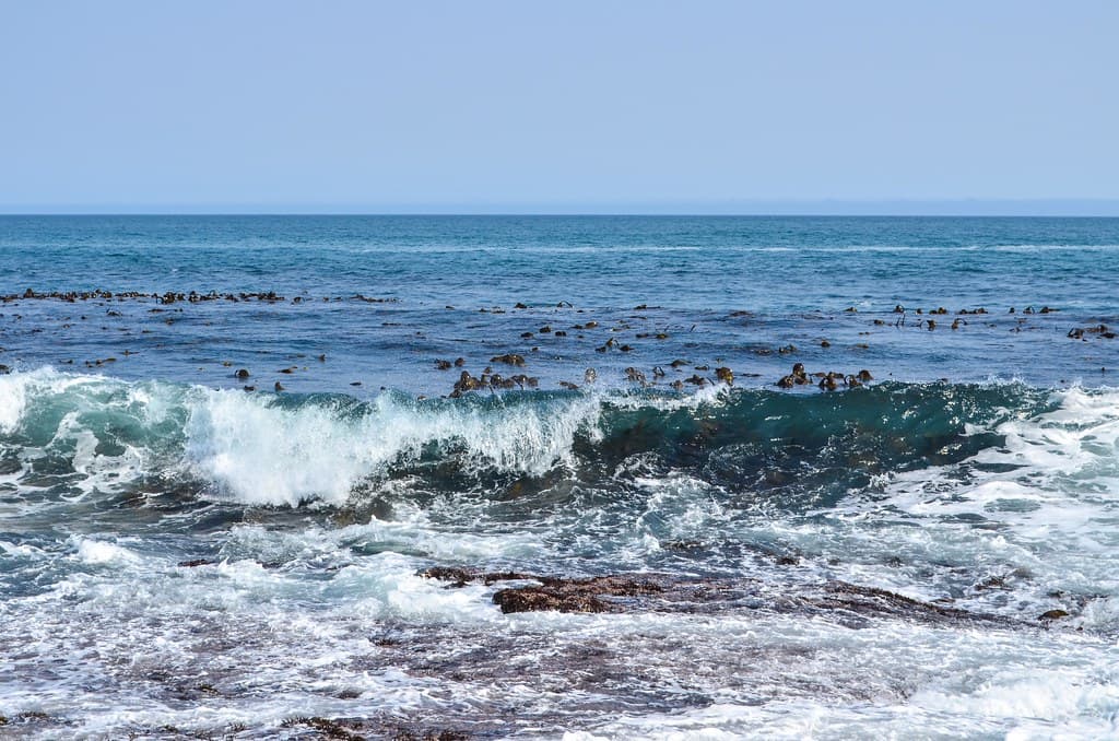 North Long Island Shore