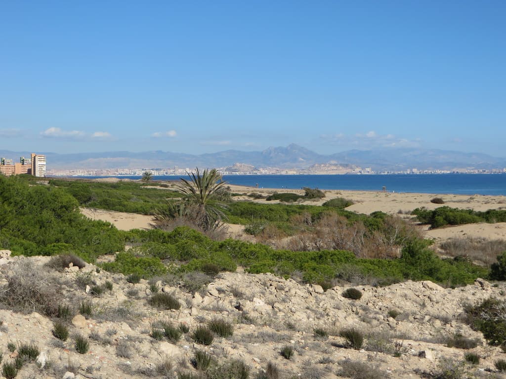 Playa del Carabassí view 2