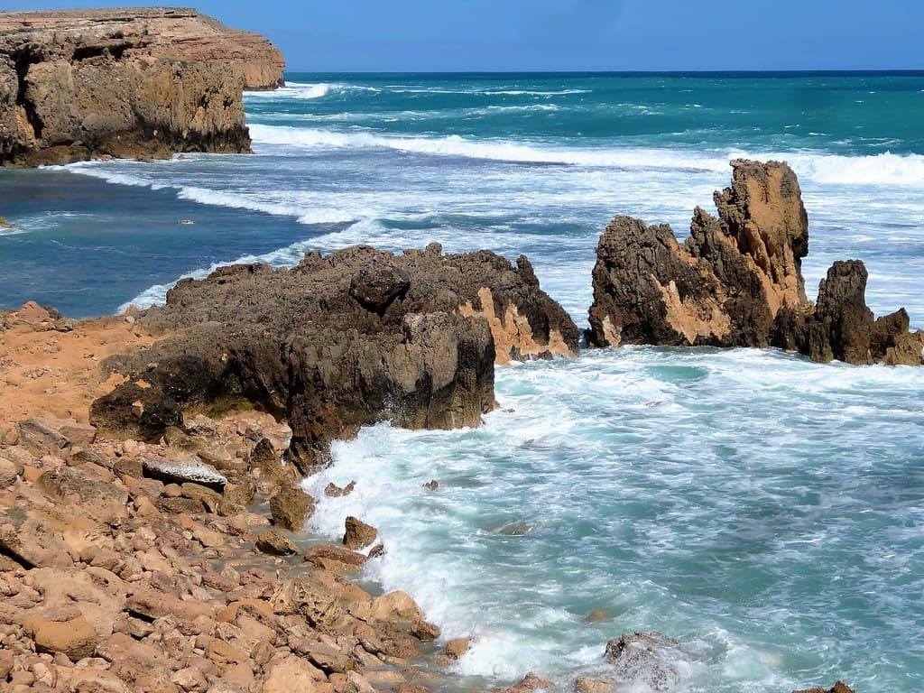 Ellis Beach