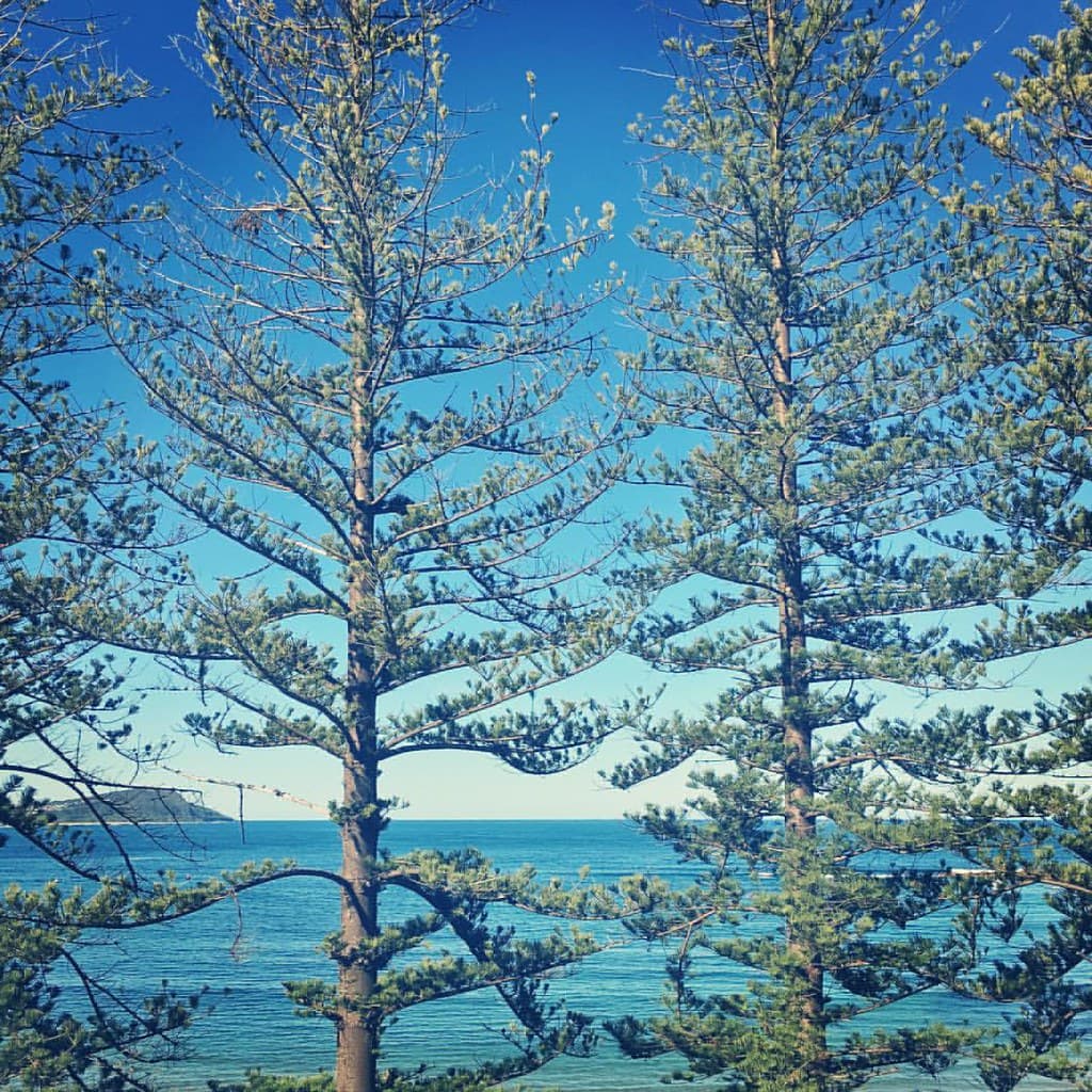 Terrigal Beach view 2