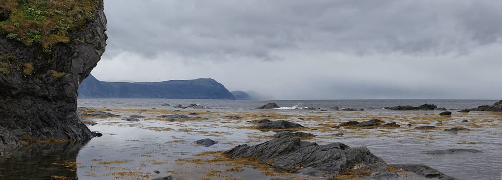 Rocky Harbour Beach