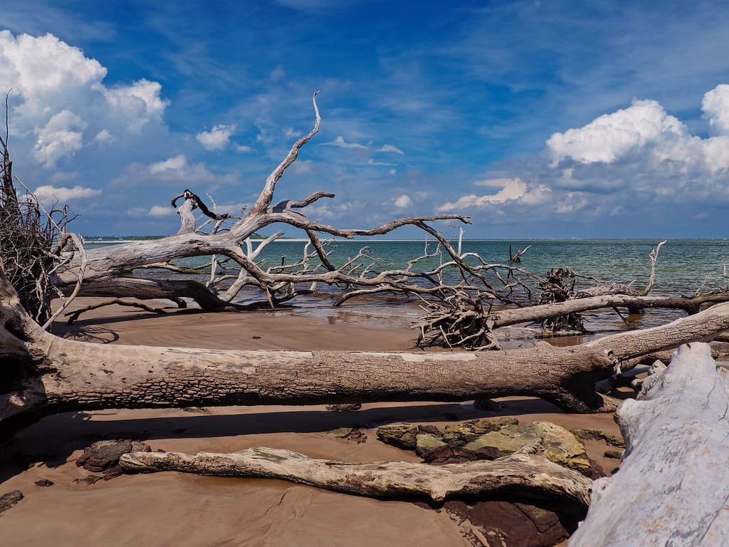Jacksonville Beach