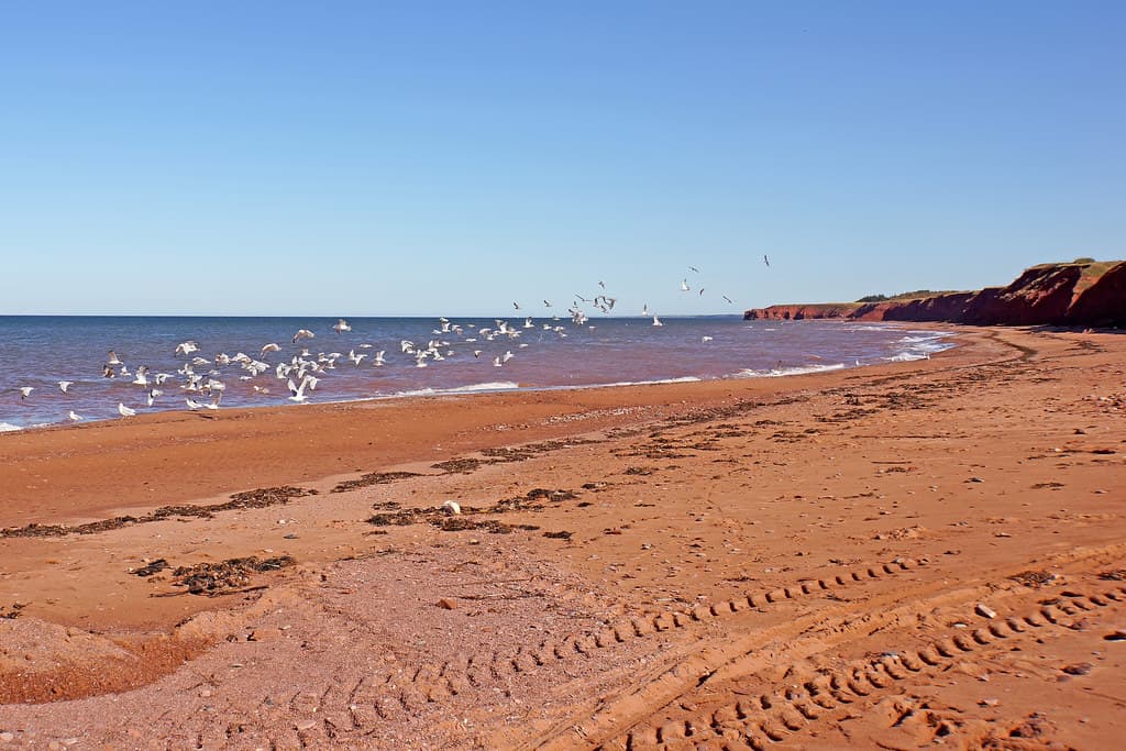 Skinners Pond Beach
