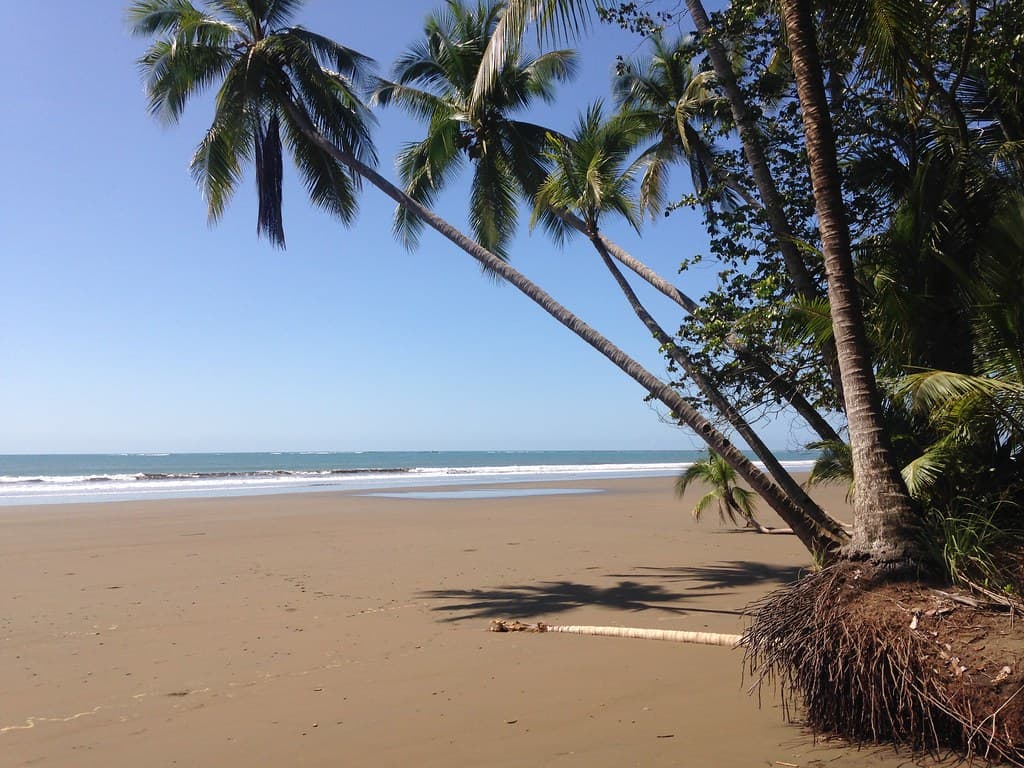 Playa Colonia view 3
