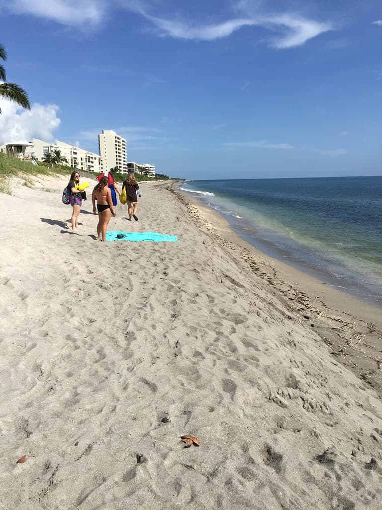 Wendy Park Beach view 3