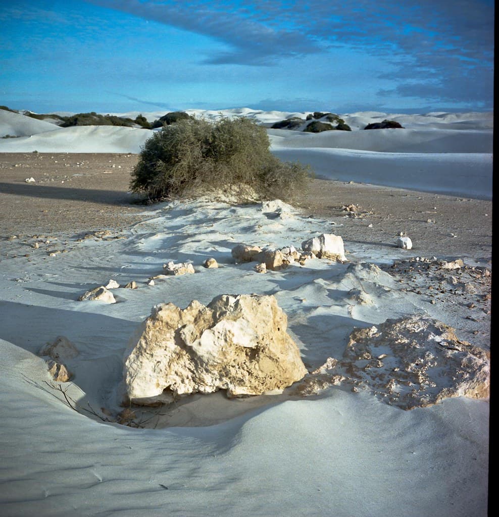 Conservation Park Beach