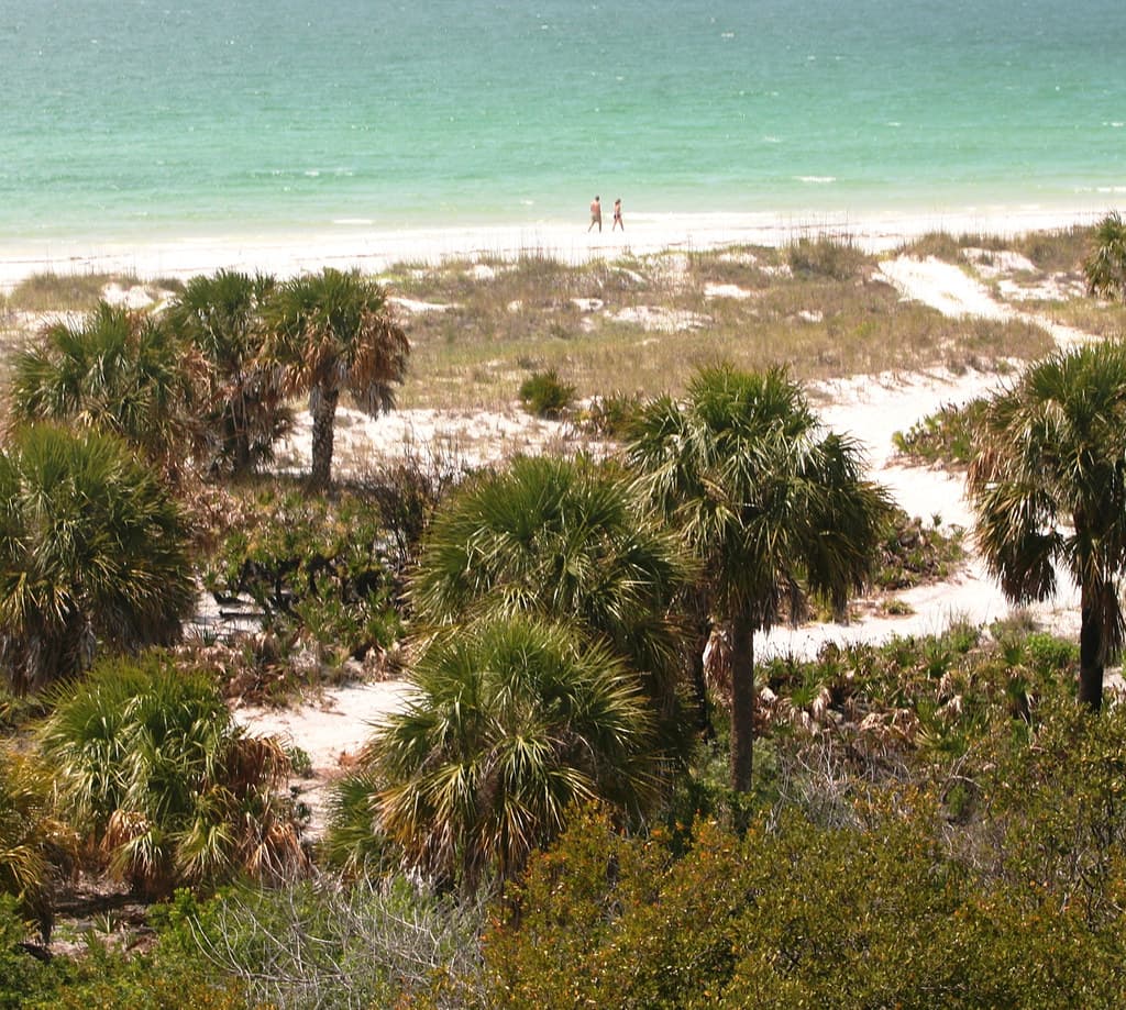 Caladesi Island State Park Beach view 3