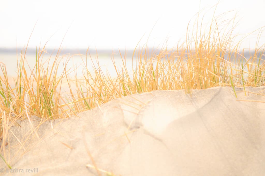 Fogland Beach