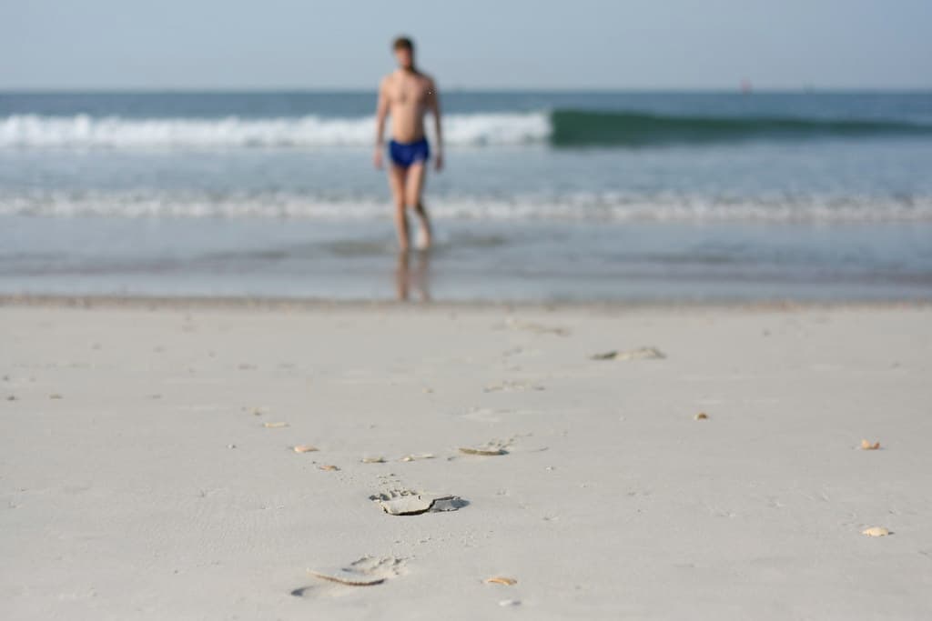 Shackleford Banks Beach